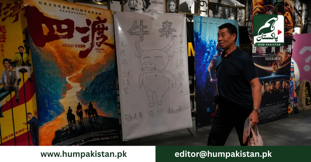چین کی اینیمیٹڈ فلم کے تخلیق کار ماں بیٹے